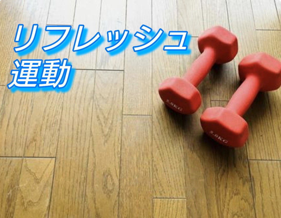 f:id:naridoidoi:20250105124330j:image