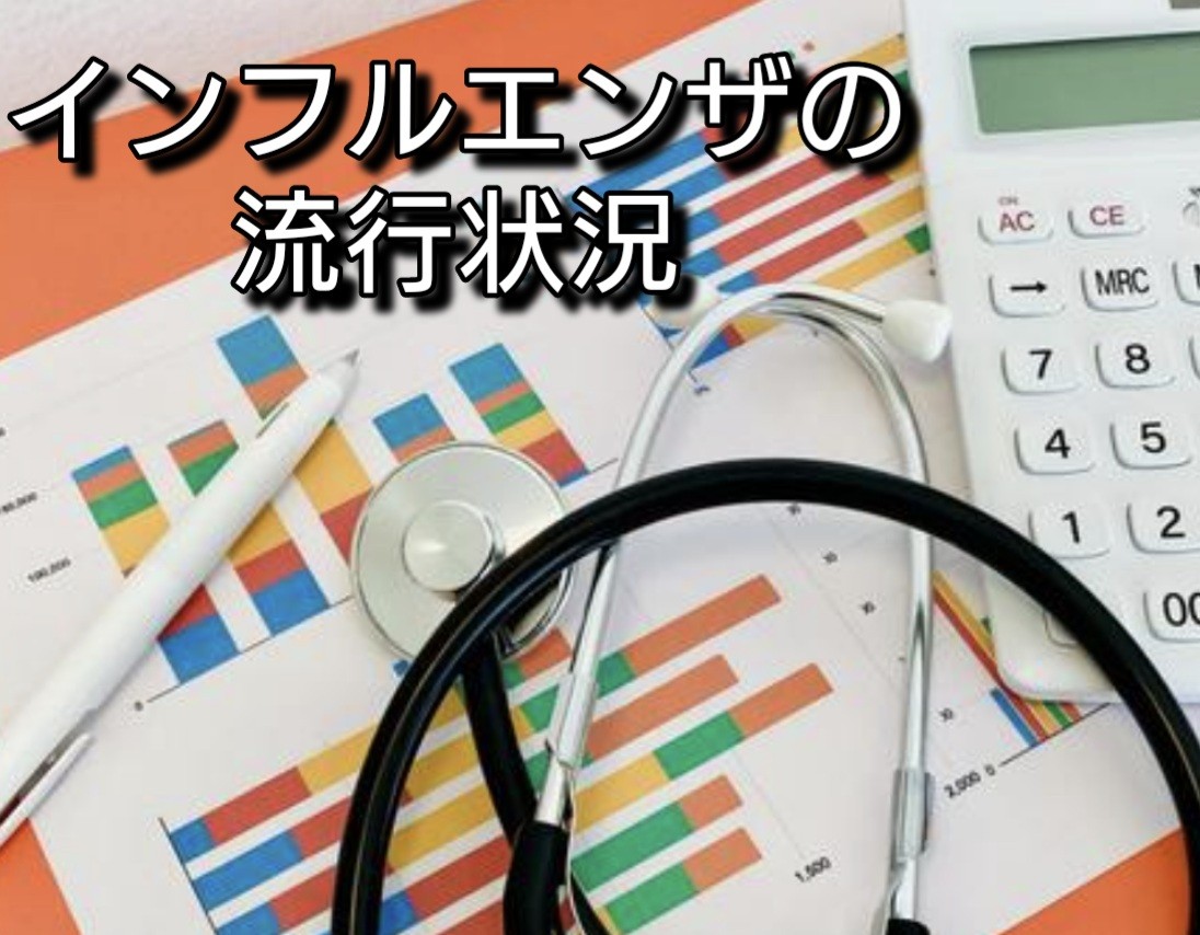 f:id:naridoidoi:20250116192835j:image