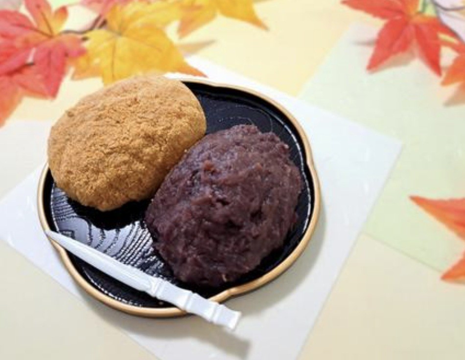 f:id:naridoidoi:20250204144849j:image