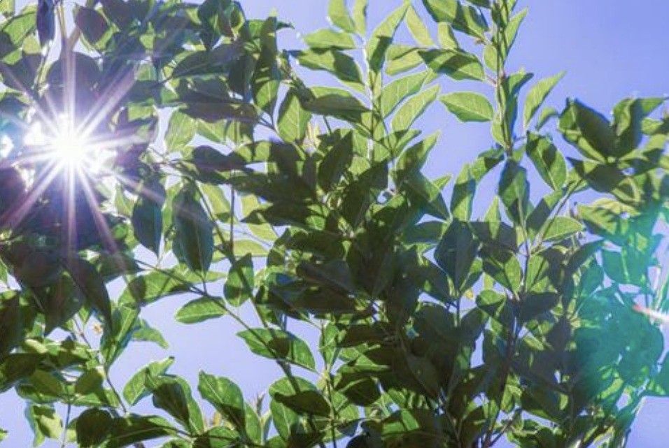 f:id:naridoidoi:20250204151112j:image