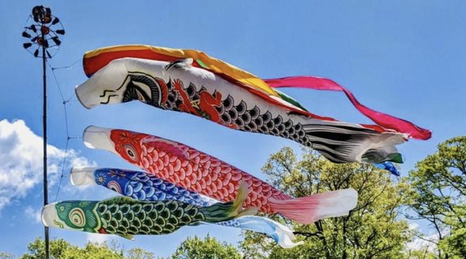 f:id:naridoidoi:20250204151708j:image