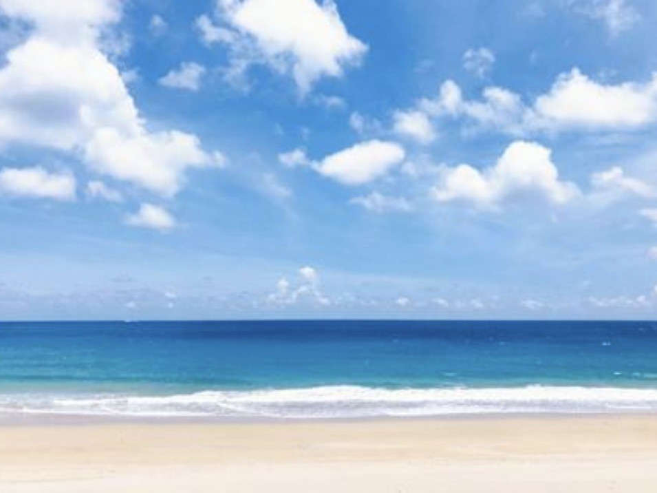 f:id:naridoidoi:20250204154028j:image