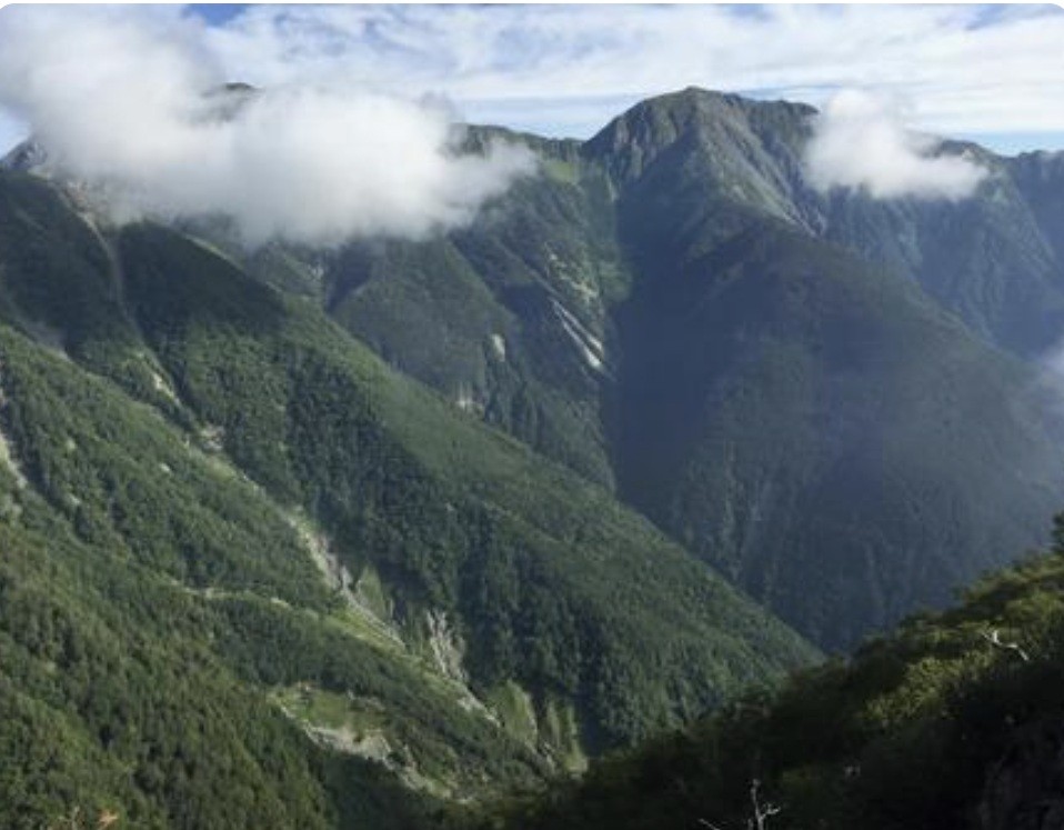 f:id:naridoidoi:20250204154252j:image