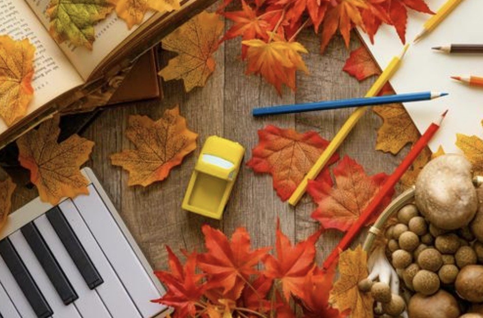 f:id:naridoidoi:20250204155634j:image