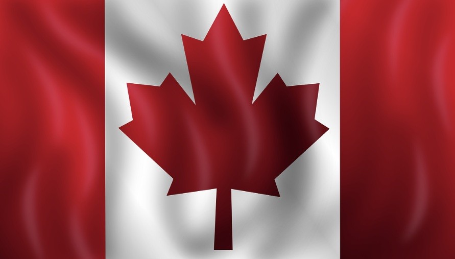 f:id:naridoidoi:20250205215804j:image