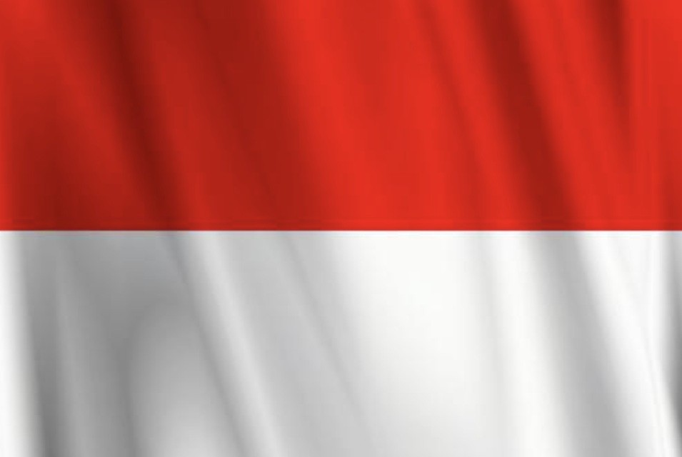 f:id:naridoidoi:20250205230441j:image