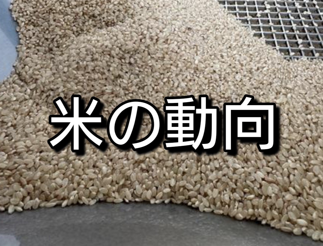 f:id:naridoidoi:20250221122944j:image