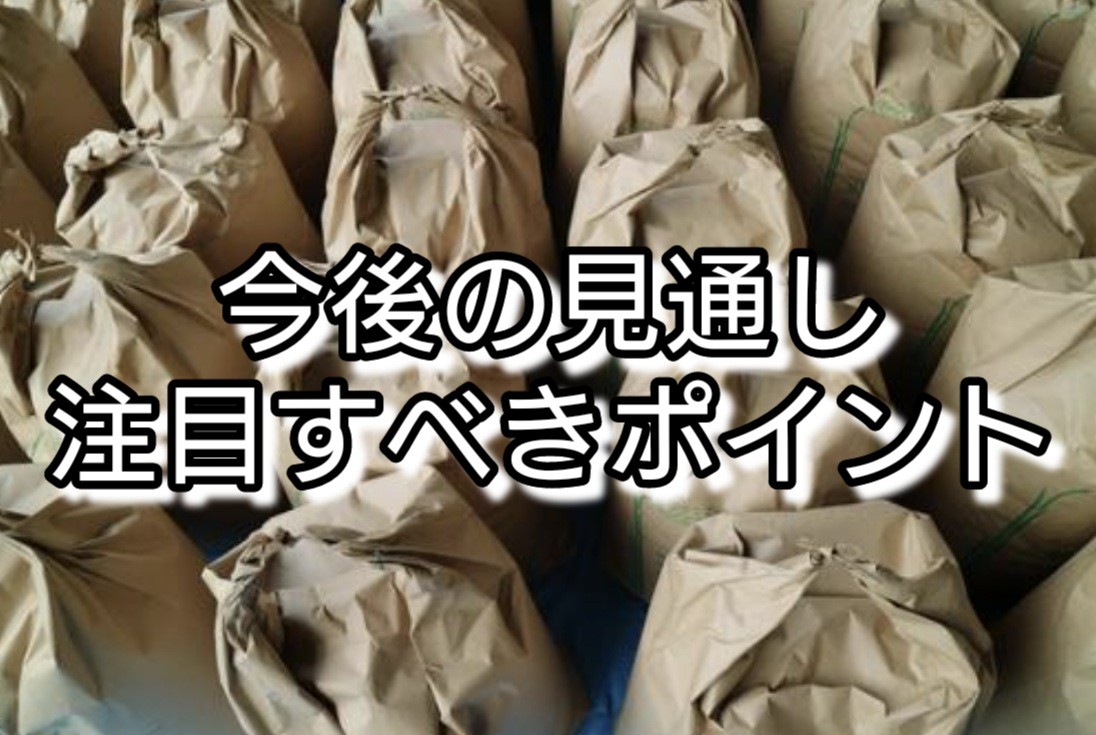 f:id:naridoidoi:20250221135316j:image