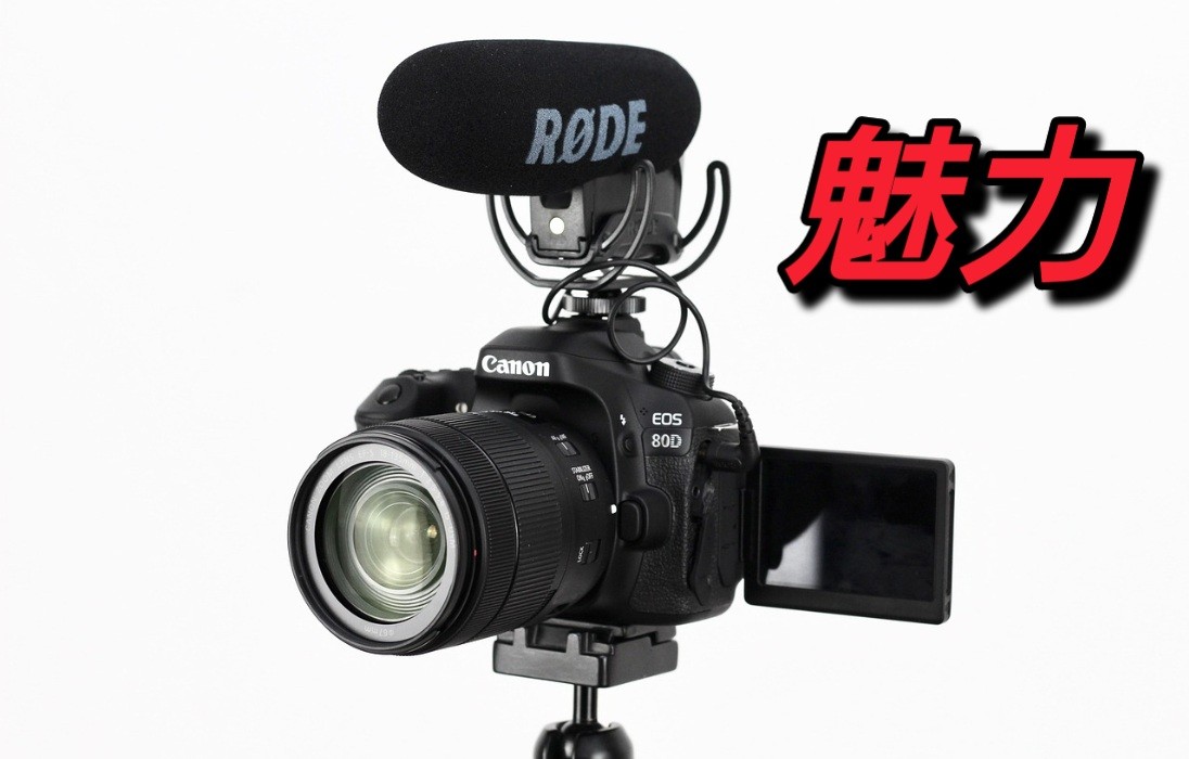 f:id:naridoidoi:20250303215330j:image