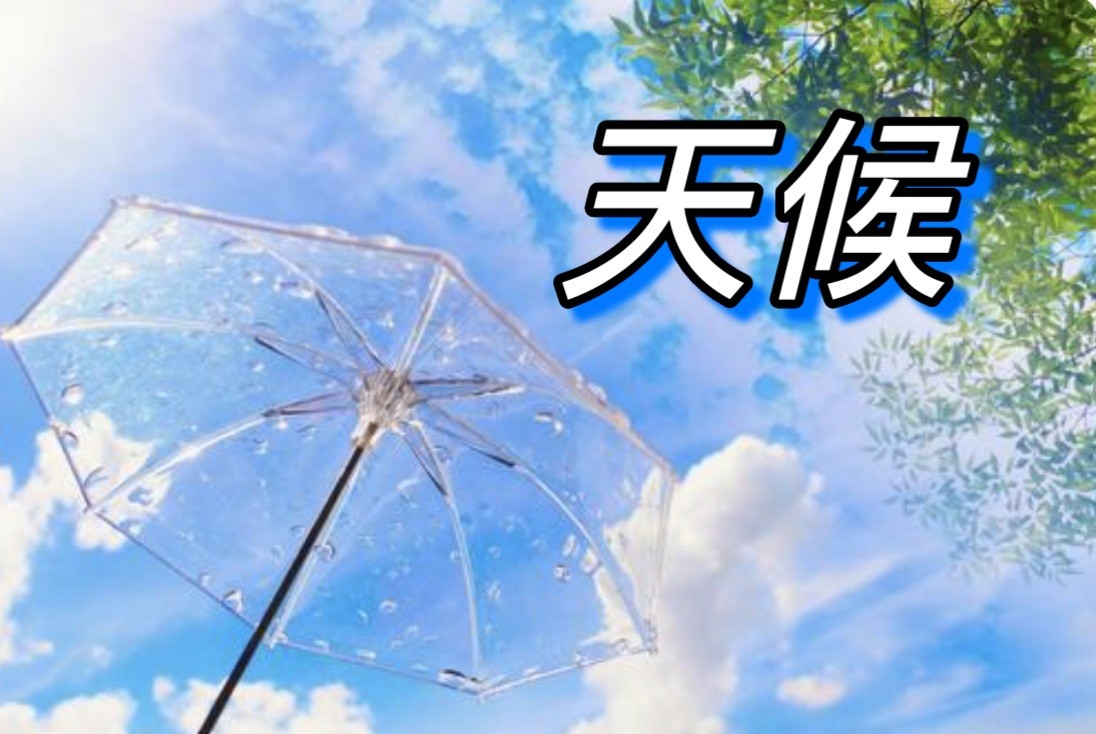 f:id:naridoidoi:20250316152728j:image f:id:naridoidoi:20250316152728j:image