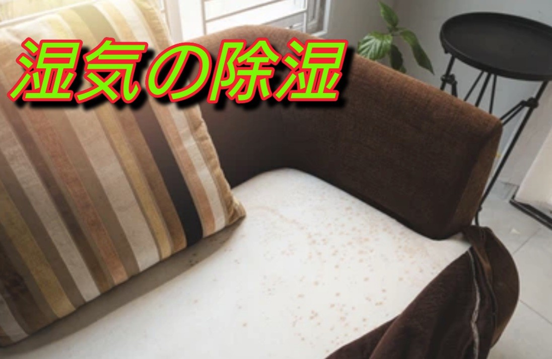 f:id:naridoidoi:20250608182702j:image f:id:naridoidoi:20250608182702j:image