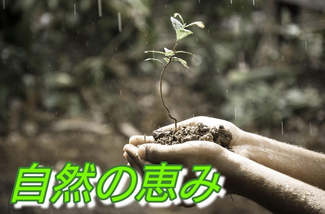 f:id:naridoidoi:20250608183443j:image f:id:naridoidoi:20250608183443j:image