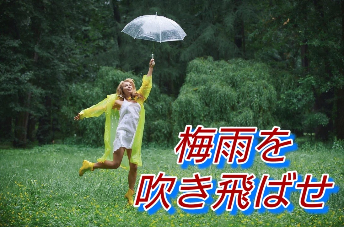 f:id:naridoidoi:20250608185127j:image f:id:naridoidoi:20250608185127j:image