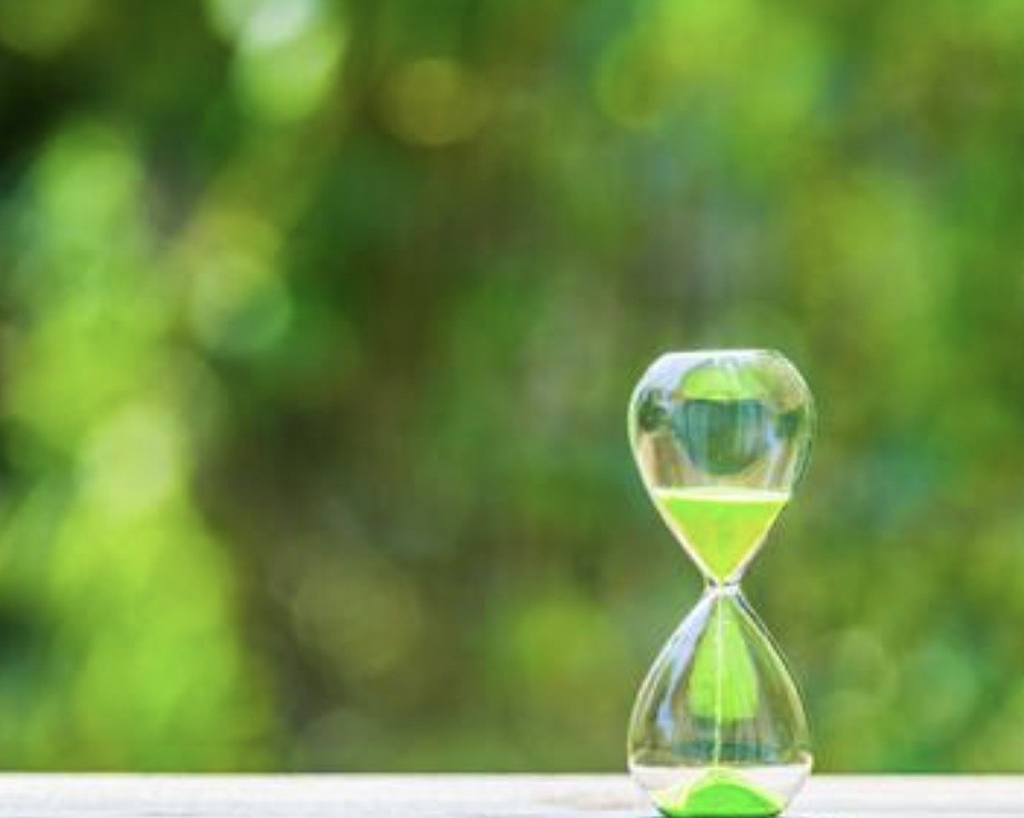 f:id:naridoidoi:20250814160959j:image