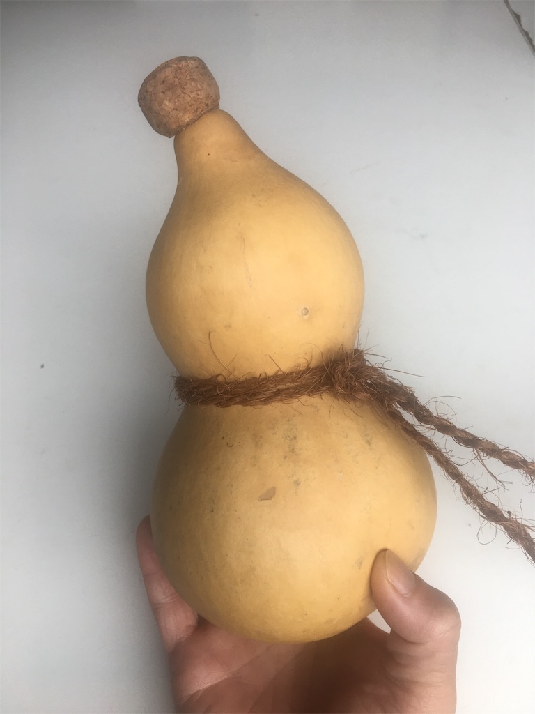 瓢箪とは 動植物の人気 最新記事を集めました はてな 瓢箪とは 動植物の人気 最新記事を集めました はてな