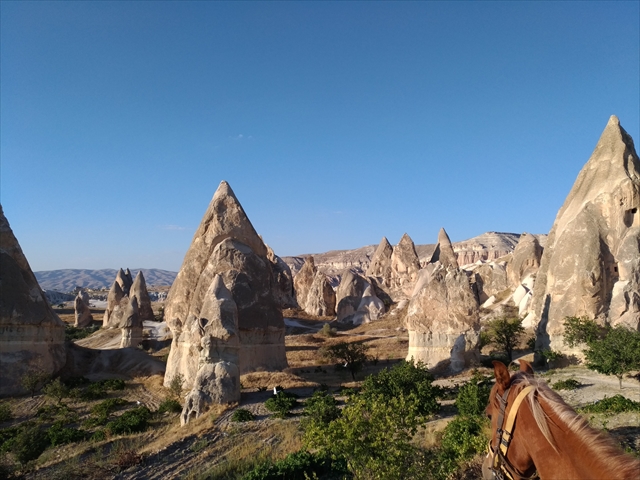 f:id:nariiiiiiisa:20181010090459j:plain f:id:nariiiiiiisa:20181010090459j:plain