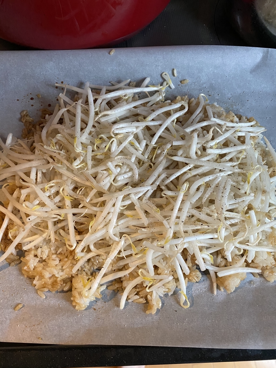 f:id:nariko1:20200419123300j:plain f:id:nariko1:20200419123300j:plain