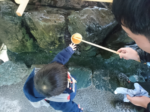 f:id:narikon:20180115230808p:plain f:id:narikon:20180115230808p:plain