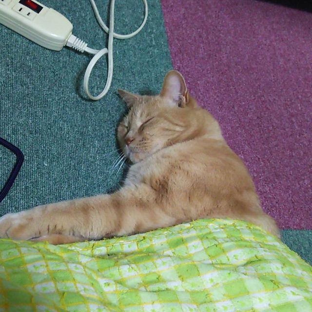 f:id:narinarikunn:20180915024818j:plain f:id:narinarikunn:20180915024818j:plain