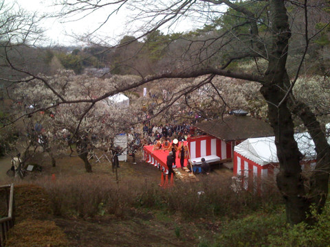 f:id:narinarissu:20090228150401j:image