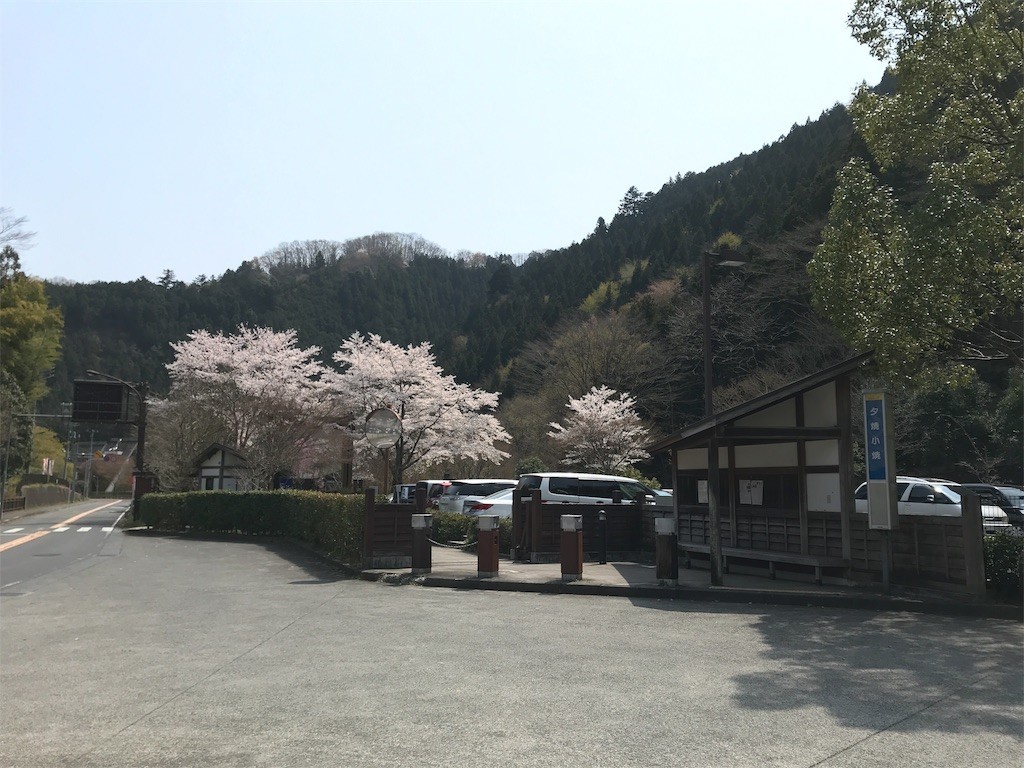 f:id:narinarissu:20190407174342j:image:w400 f:id:narinarissu:20190407174342j:image:w400