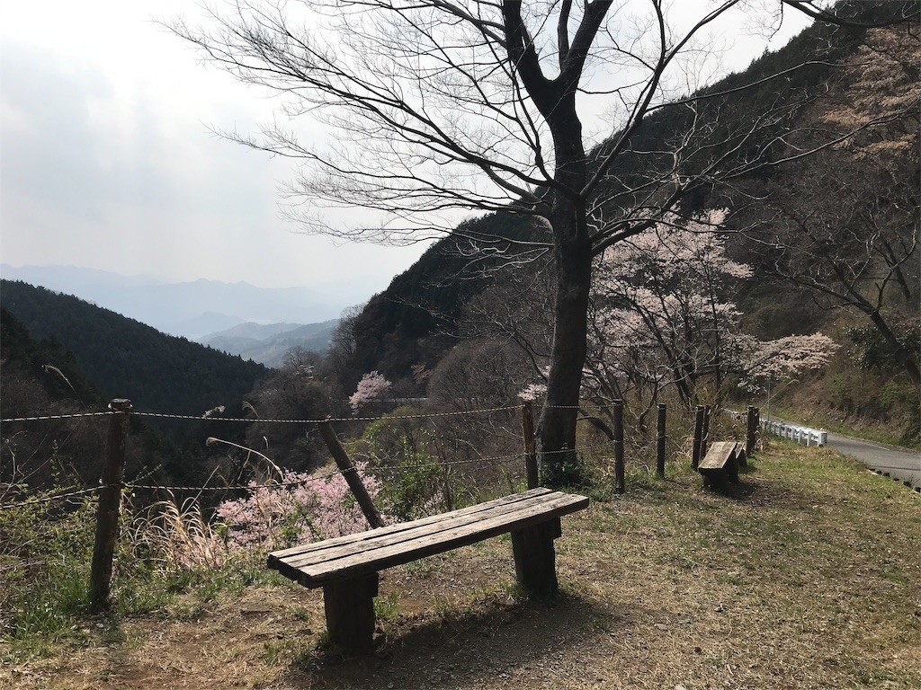 f:id:narinarissu:20190407185509j:image:w400 f:id:narinarissu:20190407185509j:image:w400