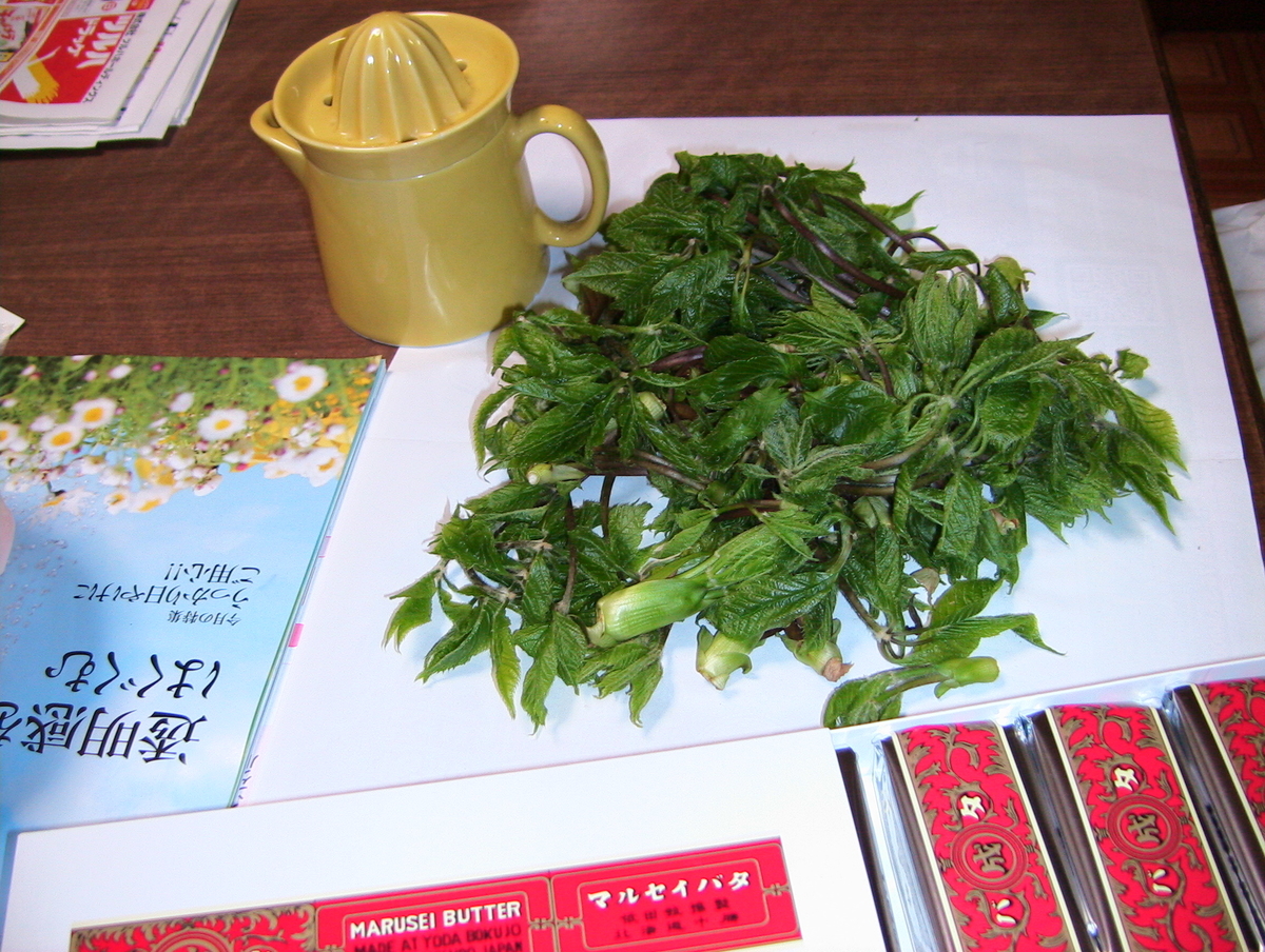 f:id:narinatta:20140507200854j:plain