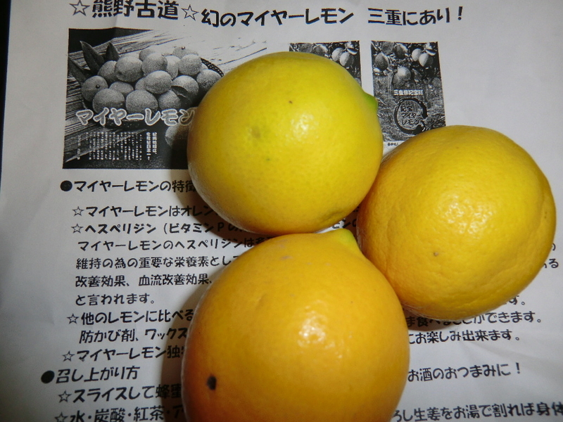 イメージ 2