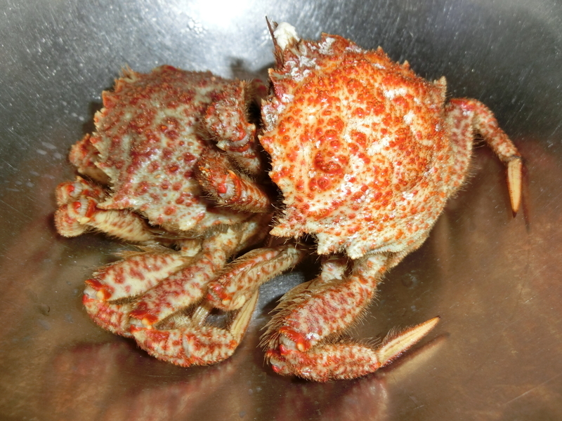 イメージ 2