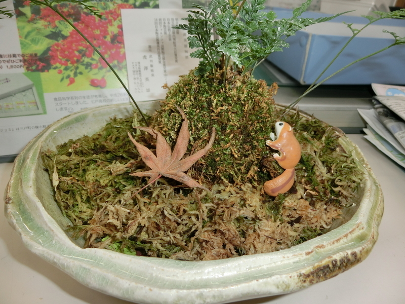 イメージ 2