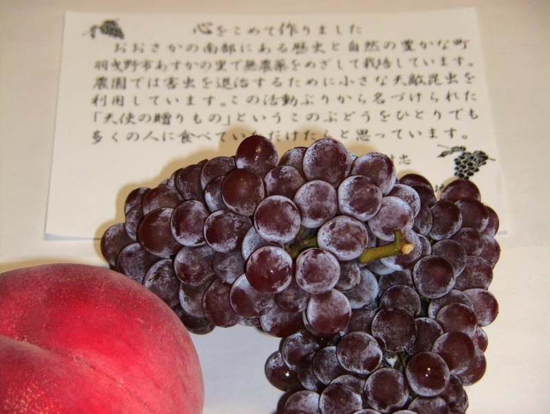 イメージ 3