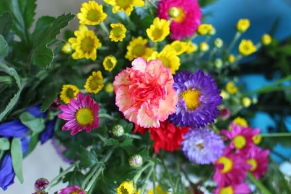 f:id:narinatta:20190813115537j:plain