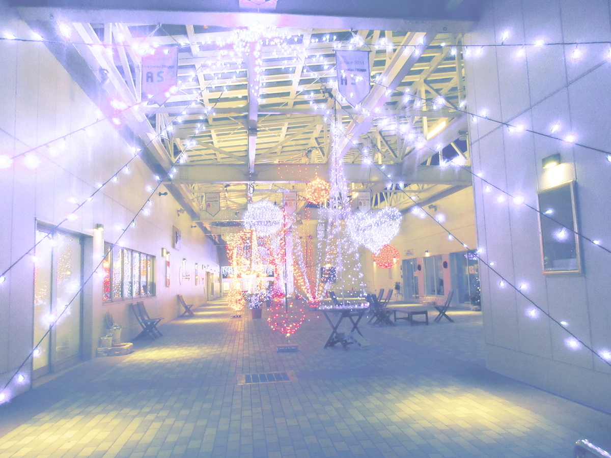 f:id:narinatta:20191219201236j:plain