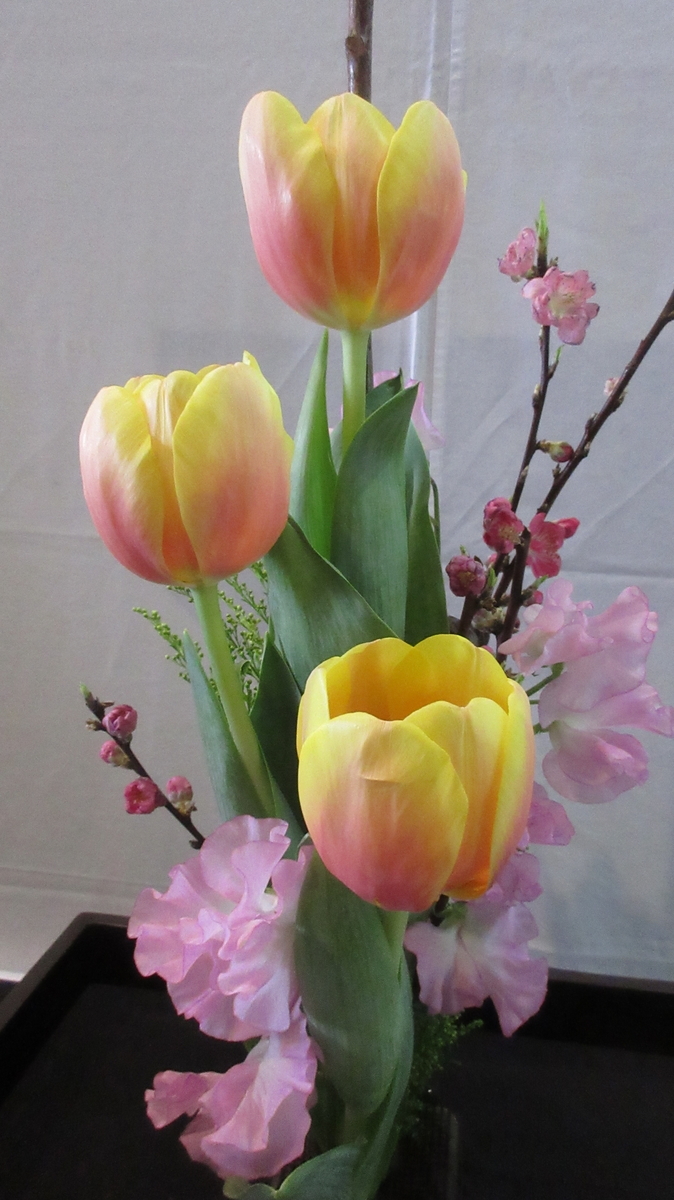 f:id:narinatta:20200222200713j:plain