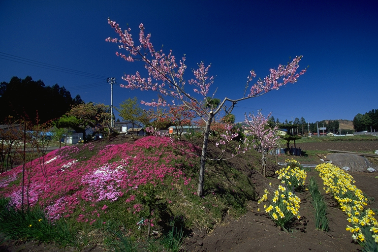 f:id:narinatta:20200421224035j:plain