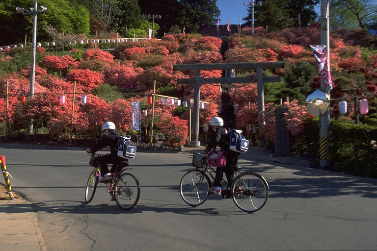 f:id:narinatta:20200624135916j:plain