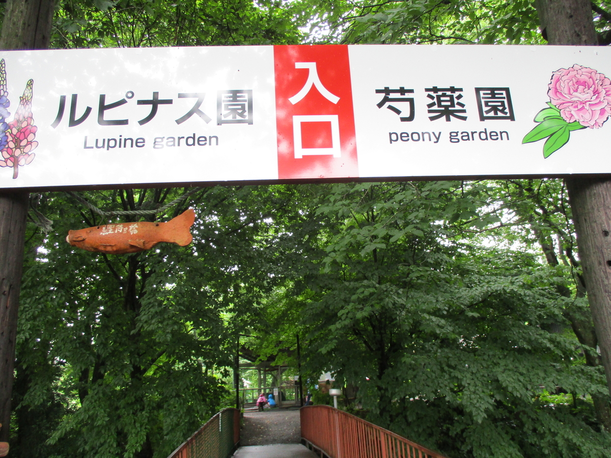 f:id:narinatta:20200627204121j:plain