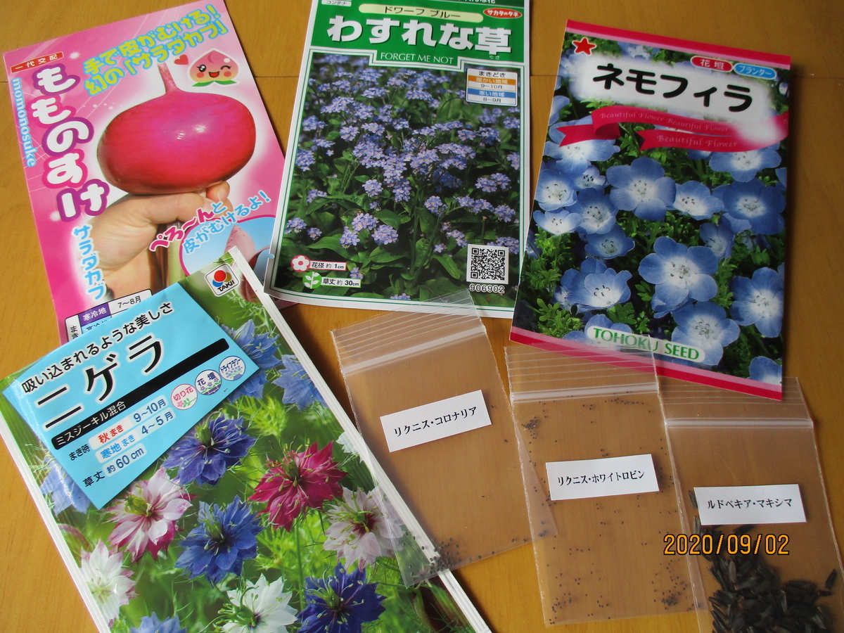 f:id:narinatta:20200902112624j:plain