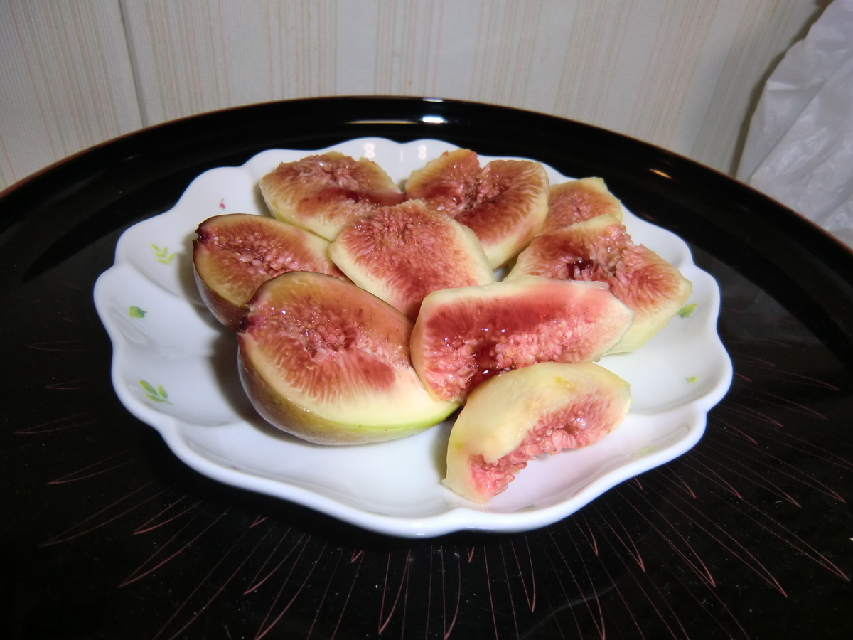 f:id:narinatta:20201005225146j:plain