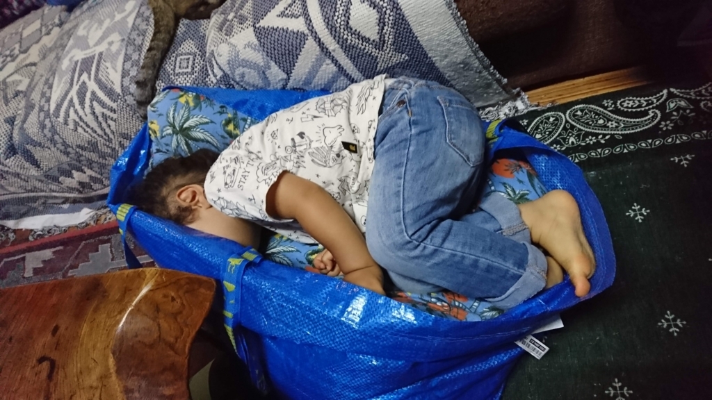 f:id:narippa:20180620140120j:plain f:id:narippa:20180620140120j:plain