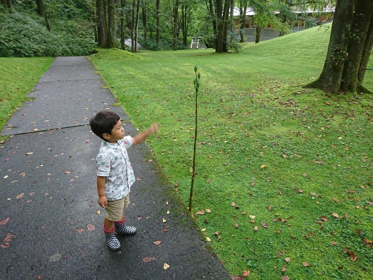 f:id:narippa:20190903111334j:plain