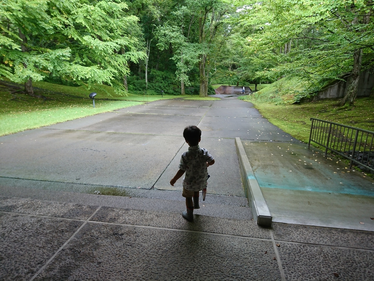 f:id:narippa:20190903111433j:plain