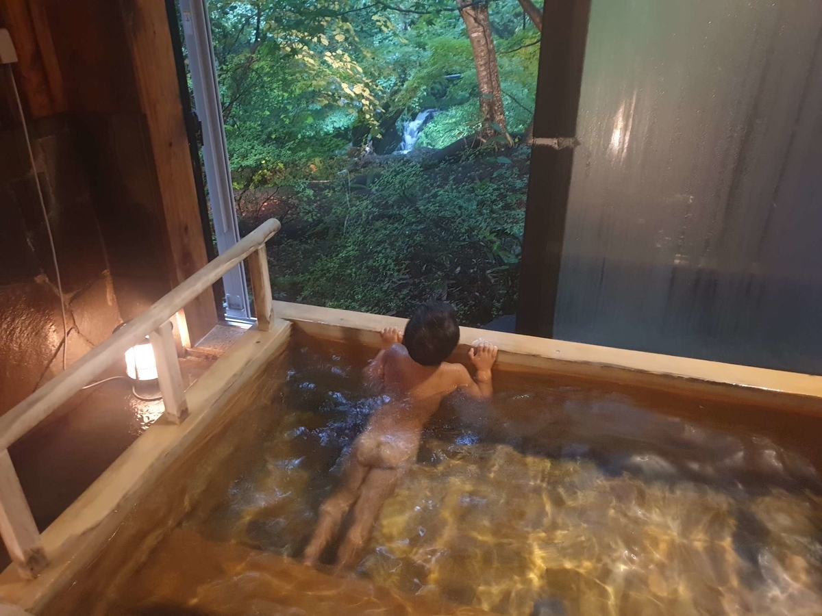 f:id:narippa:20190903112246j:plain