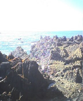 f:id:narit:20060804125826j:image:h200 f:id:narit:20060804125826j:image:h200
