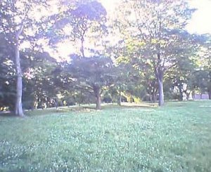 f:id:narit:20070616141119j:image:w240 f:id:narit:20070616141119j:image:w240