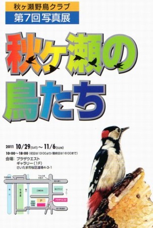 f:id:narja:20111015225831j:image