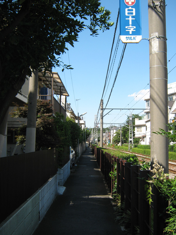 イメージ 12