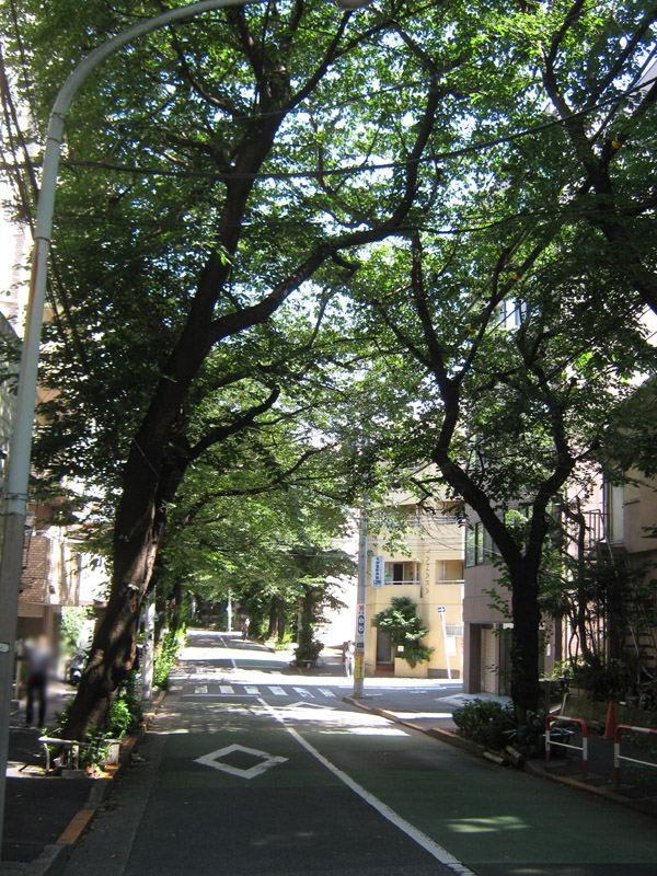 イメージ 3