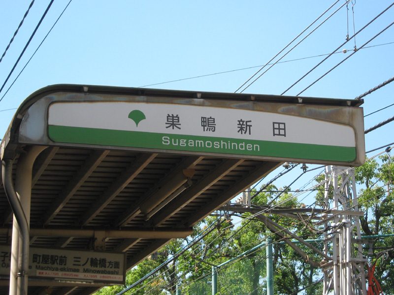 イメージ 6
