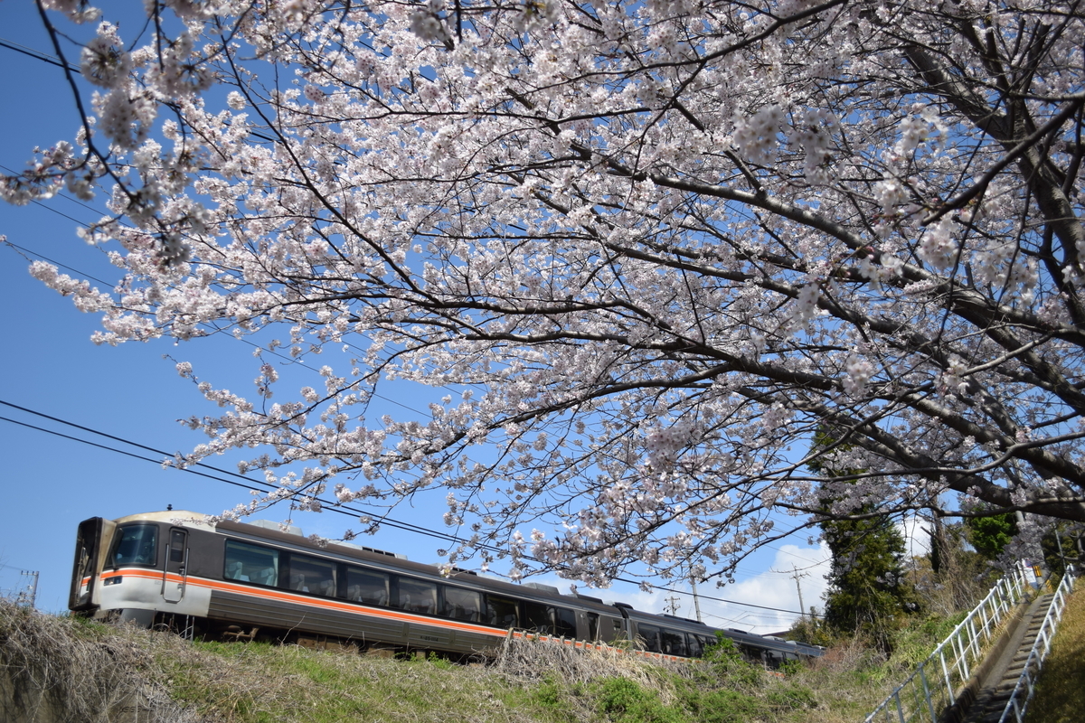 4/4 見納め迫る桜鉄(伊勢鉄道・紀勢線) - あすなろ撮影録